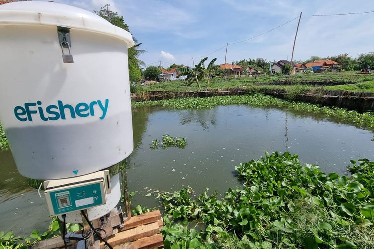 Eight Years Story Of EFishery Pioneer Of Aquaculture Startups In Indonesia