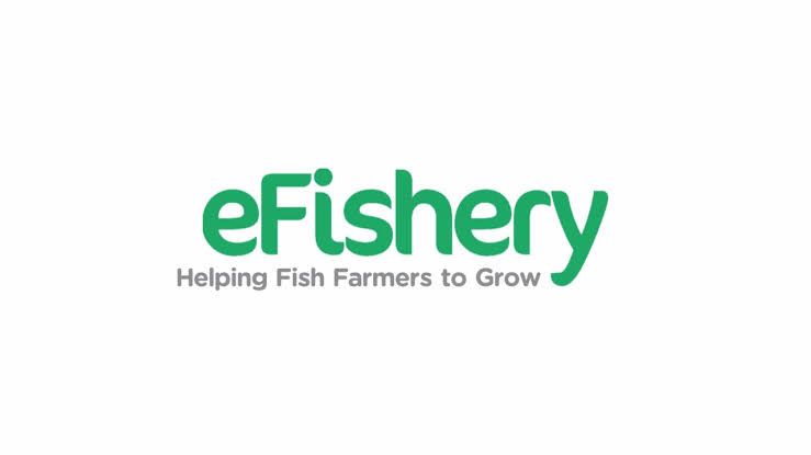 Eight Years Story Of EFishery Pioneer Of Aquaculture Startups In Indonesia